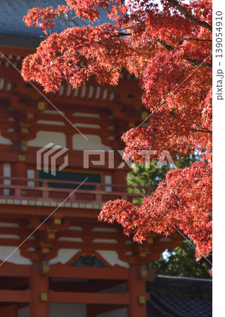 今宮神社の紅葉と楼門 今宮神社の紅葉と楼門 139054910