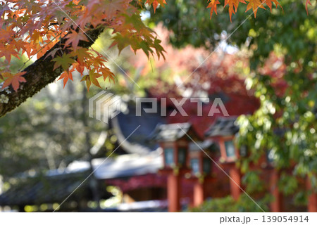 京都朱塗りの灯篭と紅葉 京都朱塗りの灯篭と紅葉 139054914