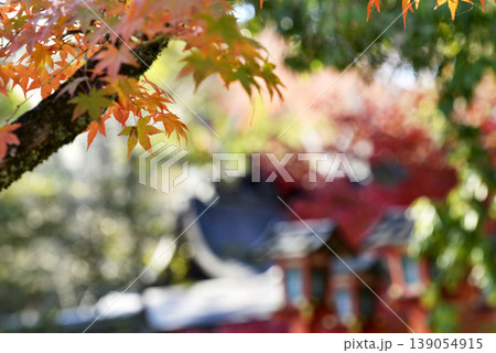 京都朱塗りの灯篭と紅葉 139054915