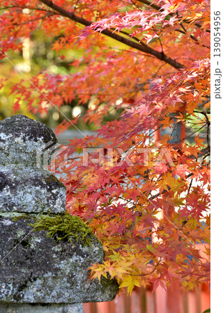今宮神社の灯篭と紅葉 139054956