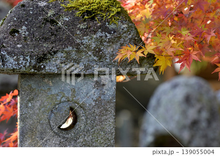 今宮神社の石灯籠と紅葉 今宮神社の石灯籠と紅葉 139055004