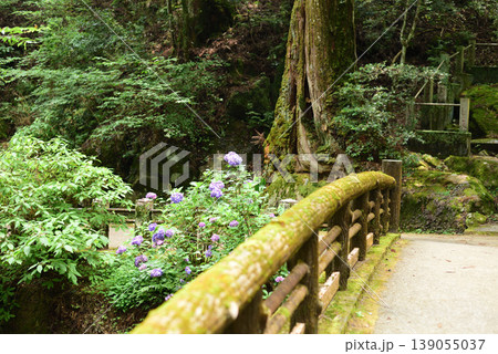 大雄山最乗寺　 139055037