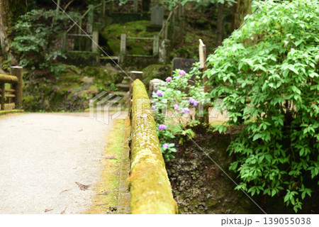 大雄山最乗寺 大雄山最乗寺 139055038