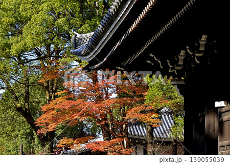 仁和寺の建物と紅葉している木々 139055039