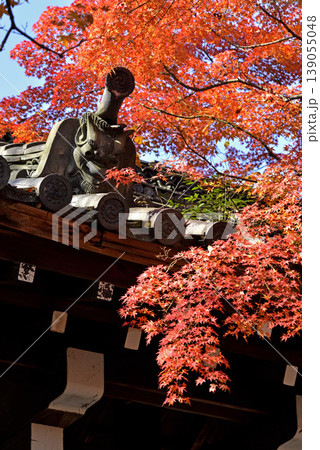 今宮神社の屋根飾りと紅葉 139055048