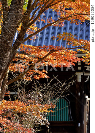冬の仁和寺の紅葉 冬の仁和寺の紅葉 139055084