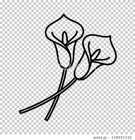 Color (Calla Lily) line art icon Color (Calla Lily) line art icon 139055338