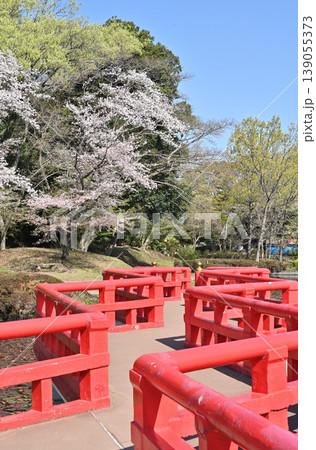 岩槻散歩:岩槻城址公園 菖蒲池に架かる八ッ橋 岩槻散歩:岩槻城址公園 菖蒲池に架かる八ッ橋 139055373