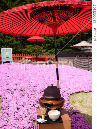 芝桜 富士山 芝桜 富士山 139055507