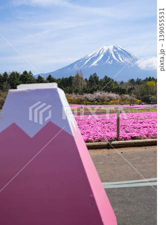 芝桜　富士山 139055531