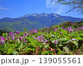 カタクリと粟ケ岳 139055561