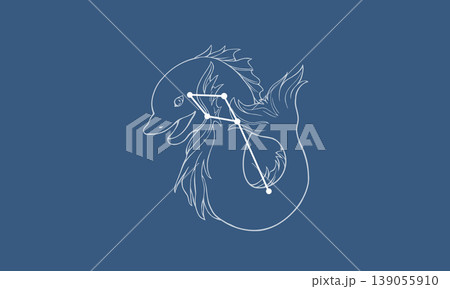 ネイビー色の背景に浮かぶいるか座の線画イラスト(白線でイルカの絵と星座線) ネイビー色の背景に浮かぶいるか座の線画イラスト(白線でイルカの絵と星座線) 139055910