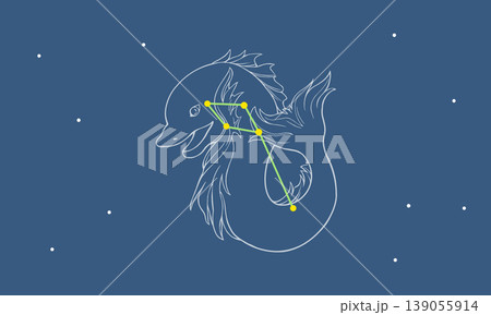 星空に浮かぶいるか座の線画イラスト(白線のイルカの絵とカラーの星座線) 星空に浮かぶいるか座の線画イラスト(白線のイルカの絵とカラーの星座線) 139055914