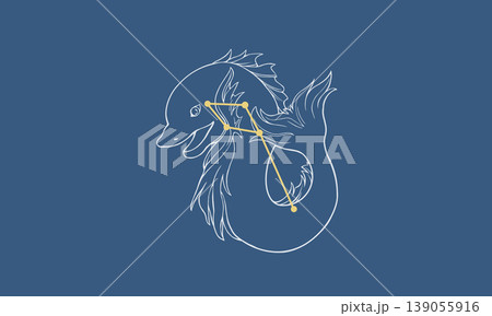 ネイビー色の背景に浮かぶいるか座の線画イラスト(白線のイルカの絵とゴールド色の星座線) ネイビー色の背景に浮かぶいるか座の線画イラスト(白線のイルカの絵とゴールド色の星座線) 139055916