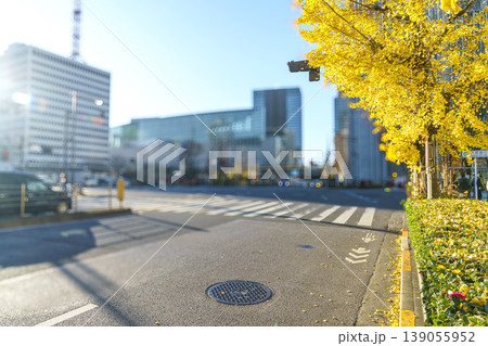 Close-up of asphalt road with manhole cover in Tokyo city during autumn. Blurred background features ginkgo trees with yellow leaves, modern buildings, and a crosswalk under bright sunlight. Close-up of asphalt road with manhole cover in Tokyo city during autumn. Blurred background features ginkgo trees with yellow leaves, modern buildings, and a crosswalk under bright sunlight. 139055952