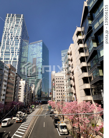 渋谷駅周辺の高層ビル群と明治通りの満開の桜並木 139056155