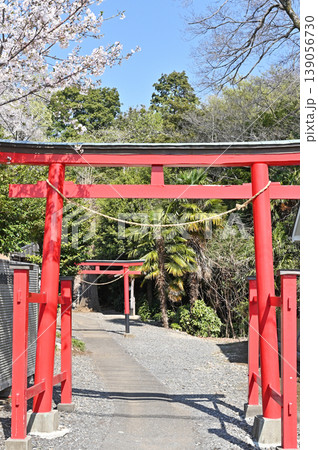 岩槻散歩:稲荷神社 岩槻散歩:稲荷神社 139056730