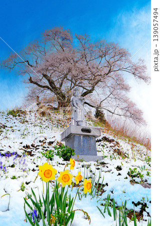 雪の積もった春(縦) 雪の積もった春(縦) 139057494