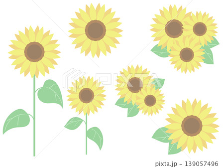 ひまわりのセットイラスト 夏の明るい花素材 139057496