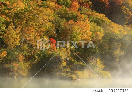池塘に映る紅葉の山々 139057589