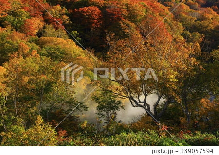 池塘に映る紅葉の山々 139057594