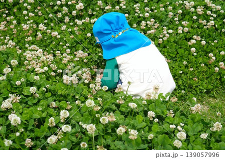 シロツメクサの花畑に座る子供の後ろ姿 シロツメクサの花畑に座る子供の後ろ姿 139057996