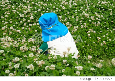 シロツメクサの花畑に座る子供の後ろ姿 シロツメクサの花畑に座る子供の後ろ姿 139057997