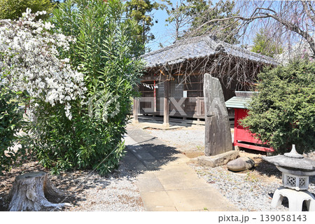 岩槻散歩:：稲荷神社　南平野の稲荷神社 139058143
