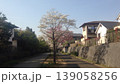 並木道 139058256