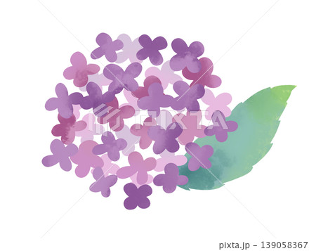 アジサイのイラスト 139058367