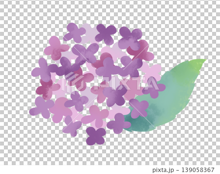アジサイのイラスト 139058367