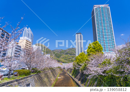 新神戸駅前 生田川の桜風景 新神戸駅前 生田川の桜風景 139058812