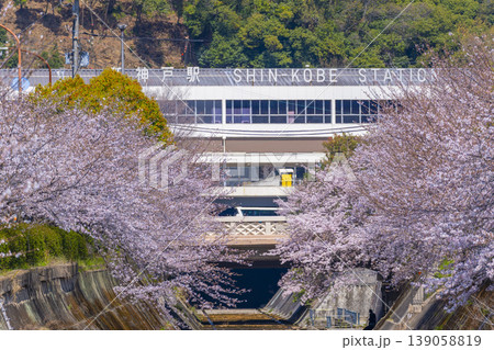 新神戸駅前 生田川の桜風景 新神戸駅前 生田川の桜風景 139058819