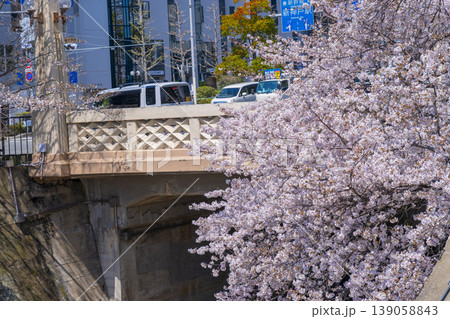 生田川の桜風景 生田川の桜風景 139058843