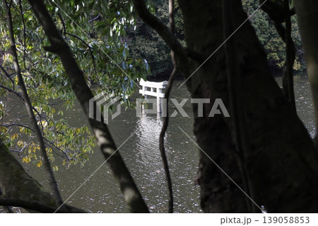 甲賀市の観光名所 弁天池の沈み鳥居 「名坂大池寺自然公園」 甲賀市の観光名所 弁天池の沈み鳥居 「名坂大池寺自然公園」 139058853