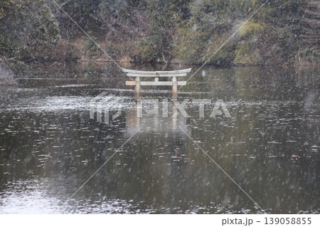 甲賀市の観光名所　弁天池の沈み鳥居　「名坂大池寺自然公園」 139058855