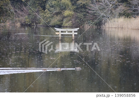 甲賀市の観光名所 弁天池の沈み鳥居 「名坂大池寺自然公園」 甲賀市の観光名所 弁天池の沈み鳥居 「名坂大池寺自然公園」 139058856