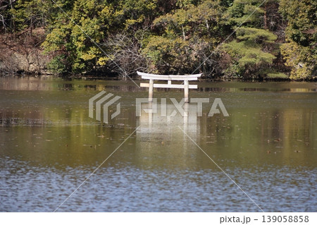 甲賀市の観光名所 弁天池の沈み鳥居 「名坂大池寺自然公園」 甲賀市の観光名所 弁天池の沈み鳥居 「名坂大池寺自然公園」 139058858