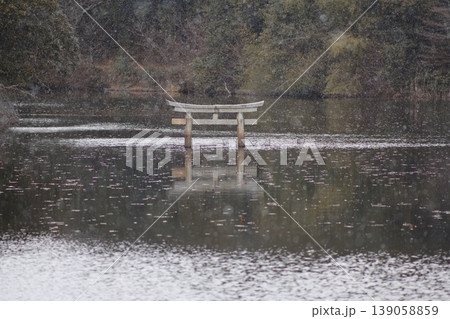 甲賀市の観光名所 弁天池の沈み鳥居 「名坂大池寺自然公園」 甲賀市の観光名所 弁天池の沈み鳥居 「名坂大池寺自然公園」 139058859