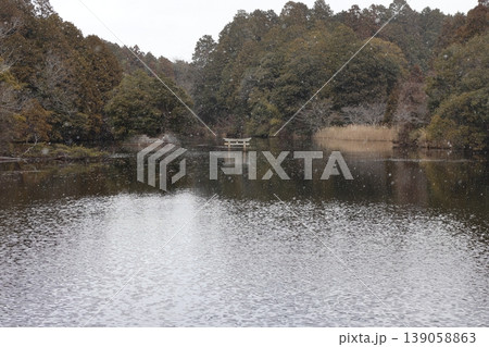 甲賀市の観光名所　弁天池の沈み鳥居　「名坂大池寺自然公園」 139058863