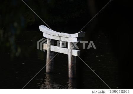 甲賀市の観光名所 弁天池の沈み鳥居 「名坂大池寺自然公園」 甲賀市の観光名所 弁天池の沈み鳥居 「名坂大池寺自然公園」 139058865