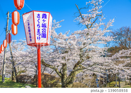 霞ヶ城公園さくらまつり 満開の桜 日本さくら名所100選 霞ヶ城公園さくらまつり 満開の桜 日本さくら名所100選 139058938
