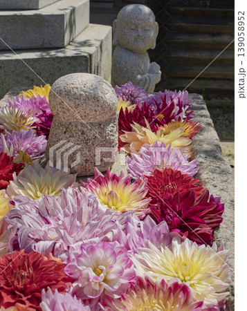 花々の海でまどろむ、岡寺の心優しき地蔵尊 花々の海でまどろむ、岡寺の心優しき地蔵尊 139058952