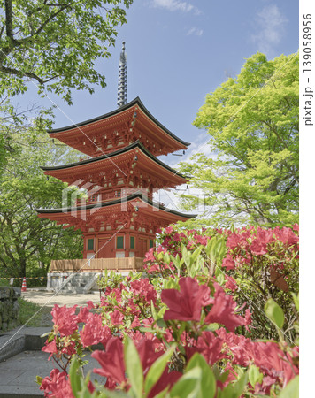 ツツジ咲く岡寺の多宝塔 ツツジ咲く岡寺の多宝塔 139058956