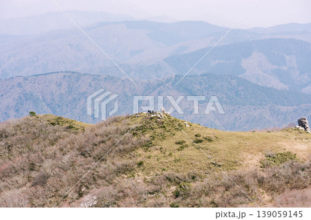 岩籠山 岩籠山 139059145