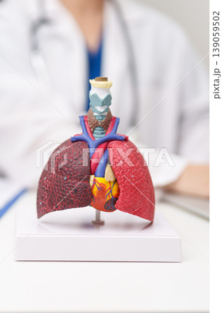 Doctor with Respiratory system anatomy for Diseases. Lung Cancer, Asthma, Chronic Obstructive Pulmonary or COPD, Bronchitis, Emphysema, Cystic Fibrosis, Bronchiectasis, Pneumonia and Pleural Effusion Doctor with Respiratory system anatomy for Diseases. Lung Cancer, Asthma, Chronic Obstructive Pulmonary or COPD, Bronchitis, Emphysema, Cystic Fibrosis, Bronchiectasis, Pneumonia and Pleural Effusion 139059502
