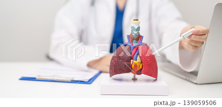 Doctor with Smoker and normal Lung anatomy for Disease. Lung Cancer, Asthma, Chronic Obstructive Pulmonary or COPD, Bronchitis, Emphysema, Cystic Fibrosis, Bronchiectasis, Pneumonia and world Lung day 139059506