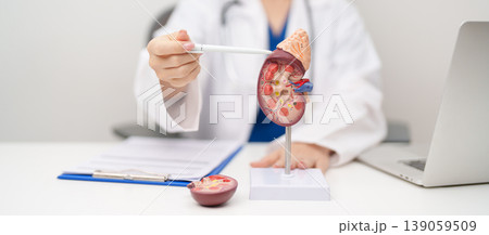 Doctor with Kidney Adrenal gland anatomy model. disease of Urinary system and Stones, Cancer, world kidney day, Chronic kidney, Urology, Nephritis, Renal, Transplant and health concept Doctor with Kidney Adrenal gland anatomy model. disease of Urinary system and Stones, Cancer, world kidney day, Chronic kidney, Urology, Nephritis, Renal, Transplant and health concept 139059509