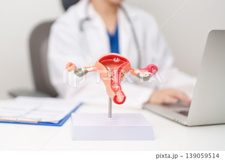 Doctor with Uterus and Ovaries anatomy model. Ovarian and Cervical cancer, Cervix disorder, Endometriosis, Hysterectomy, Uterine fibroids, Reproductive system, Pregnancy and health concept 139059514