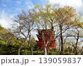 三重宝塔(岡寺)　【奈良県高市郡明日香村】 139059837